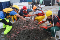 Students in safety gear sort through pink sea urchins on the deck of a vessel during a research cruise.