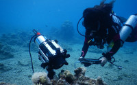 A diver operates a microscope underwater